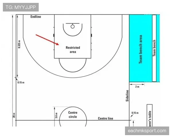 罚球规则解析:NBA与FIBA有何不同?